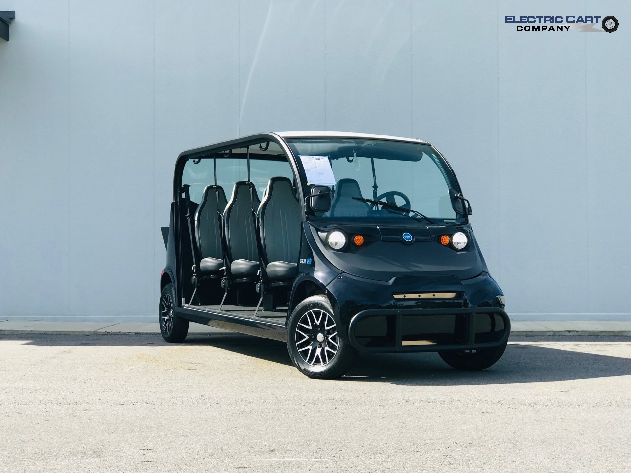 2020 Global Electric Motorcars E6 for sale in Santa Rosa Beach, FL